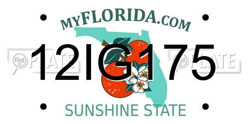 12IG175 Florida License Plate