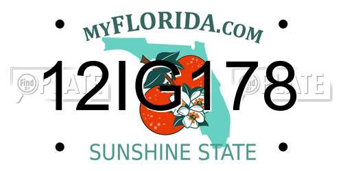 12IG178 Florida License Plate