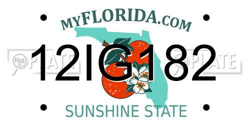 12IG182 Florida License Plate