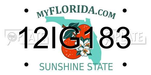 12IG183 Florida License Plate