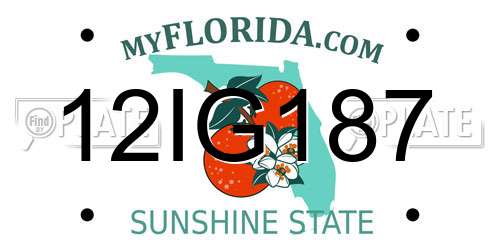 12IG187 Florida License Plate