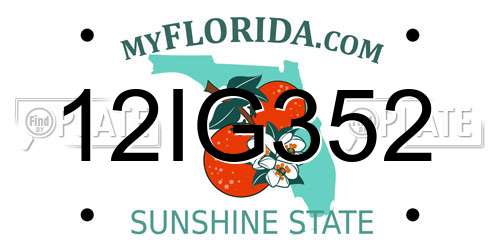 12IG352 Florida License Plate