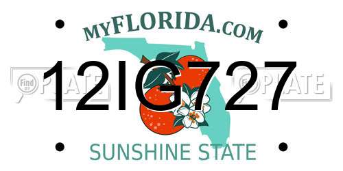 12IG727 Florida License Plate
