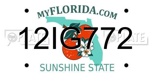 12IG772 Florida License Plate