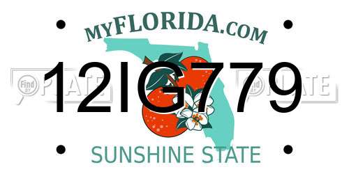 12IG779 Florida License Plate