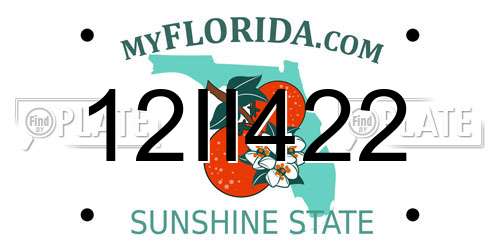 12II422 Florida License Plate