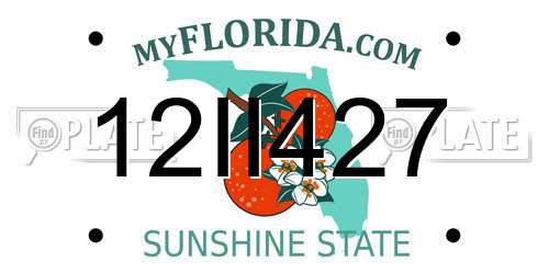 12II427 Florida License Plate