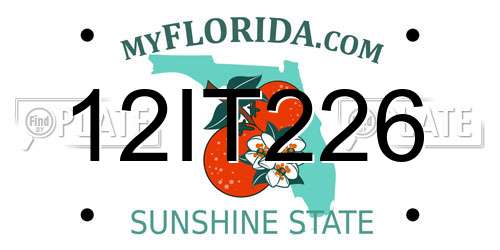 12IT226 Florida License Plate
