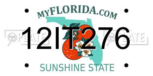 12IT276 Florida License Plate