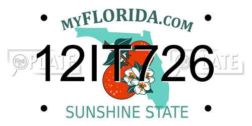 12IT726 Florida License Plate