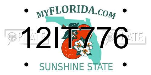 12IT776 Florida License Plate