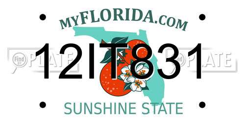 12IT831 Florida License Plate