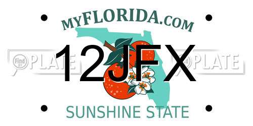 12JFX Florida License Plate
