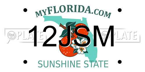 12JSM Florida License Plate