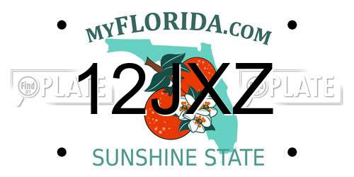 12JXZ Florida License Plate