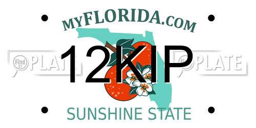 12KIP Florida License Plate