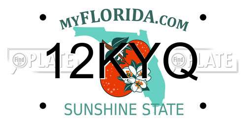 12KYQ Florida License Plate