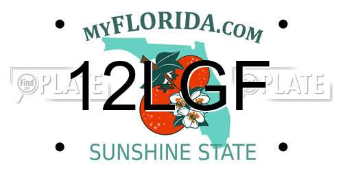 12LGF Florida License Plate