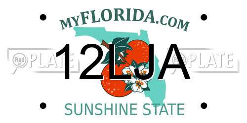 12LJA Florida License Plate