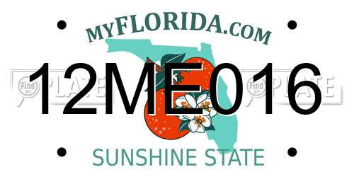 12ME016 Florida License Plate
