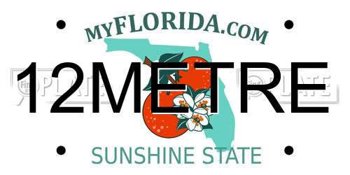 12METRE Florida License Plate