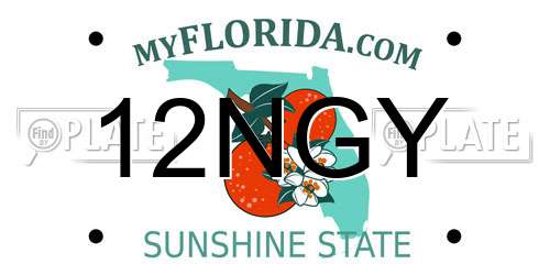 12NGY Florida License Plate