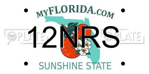 12NRS Florida License Plate