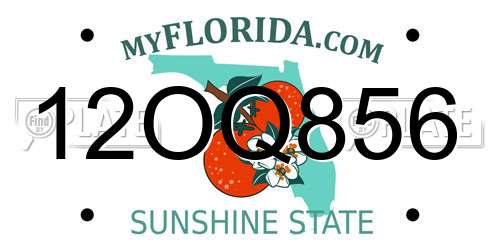 12OQ856 Florida License Plate