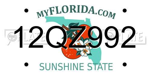 12QZ992 Florida License Plate