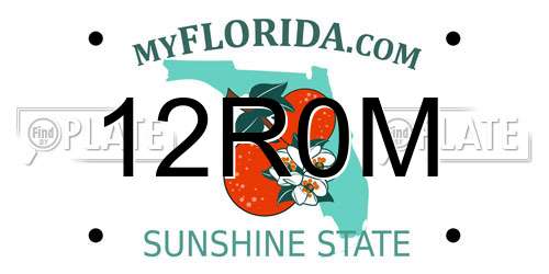 12R0M Florida License Plate