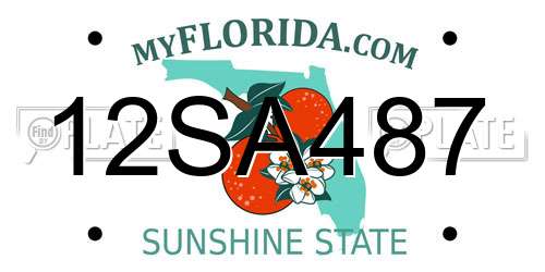 12SA487 Florida License Plate