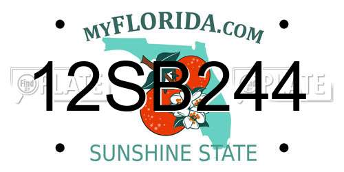 12SB244 Florida License Plate