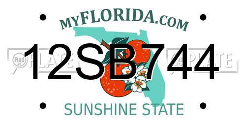 12SB744 Florida License Plate