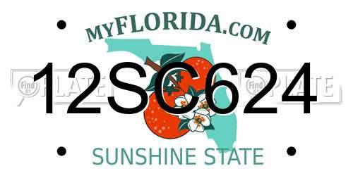 12SC624 Florida License Plate