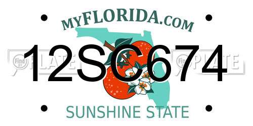 12SC674 Florida License Plate