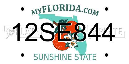 12SE844 Florida License Plate