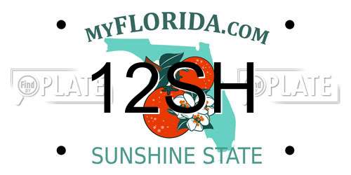 12SH Florida License Plate