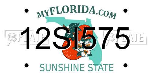 12SI575 Florida License Plate