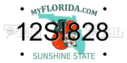 12SI828 Florida License Plate