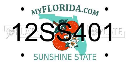12SS401 Florida License Plate