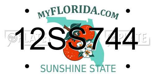 12SS744 Florida License Plate