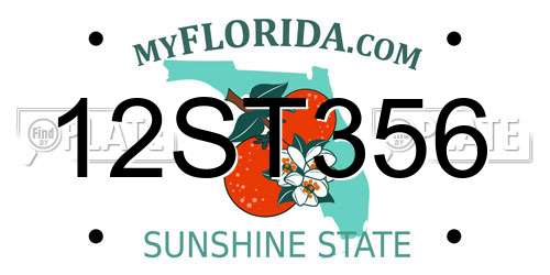 12ST356 Florida License Plate