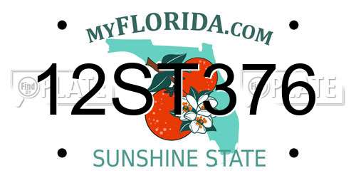 12ST376 Florida License Plate