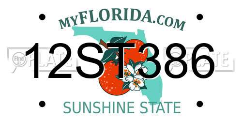 12ST386 Florida License Plate