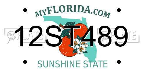 12ST489 Florida License Plate