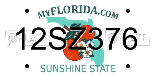 12SZ376 Florida License Plate