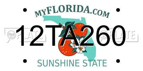 12TA260 Florida License Plate