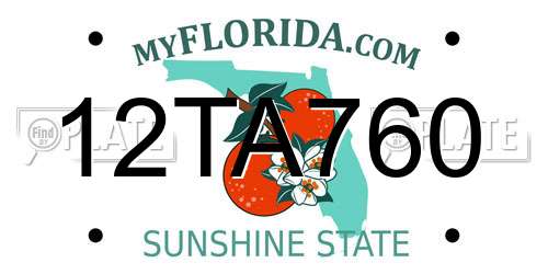 12TA760 Florida License Plate
