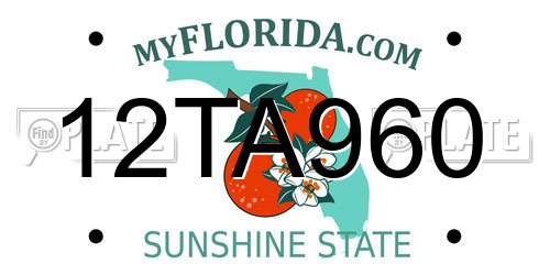 12TA960 Florida License Plate