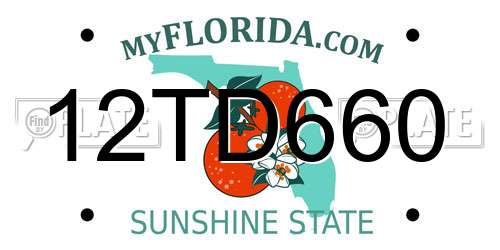 12TD660 Florida License Plate